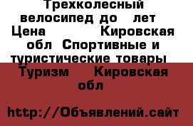 Трехколесный велосипед до 3 лет › Цена ­ 1 000 - Кировская обл. Спортивные и туристические товары » Туризм   . Кировская обл.